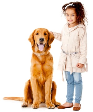 Beautiful girl with a dog - isolated over a white background