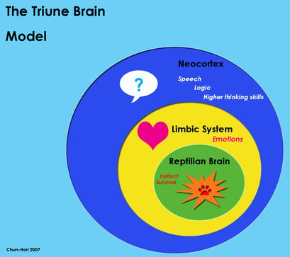 limbic brain Triune_brain