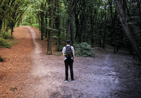 forest-bathing-crossroads