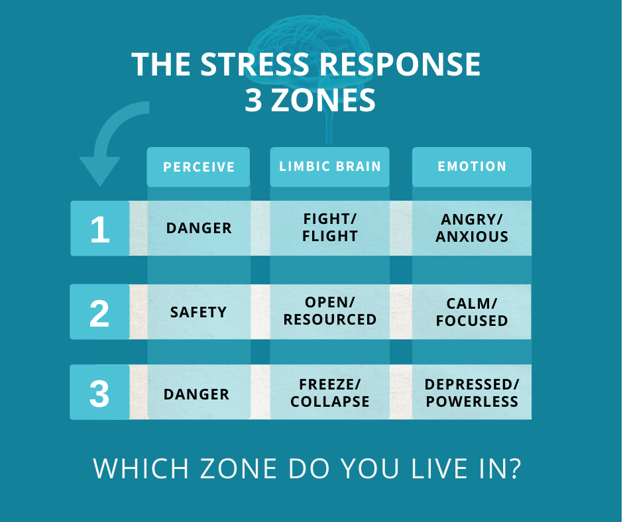 FB-post-THE STRESS RESPONSE  3 ZONES