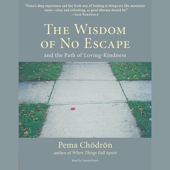 The Wisdom of No Escape by pema chodron is a classic meditation book