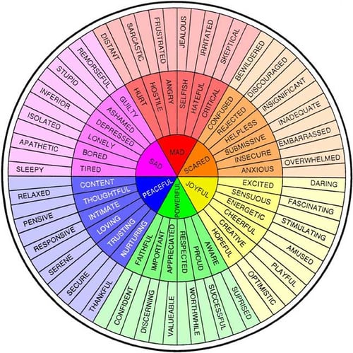 650_Feelings-Wheel-Color