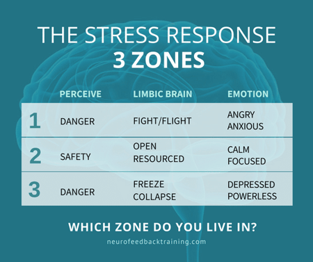 3 zones of stress response