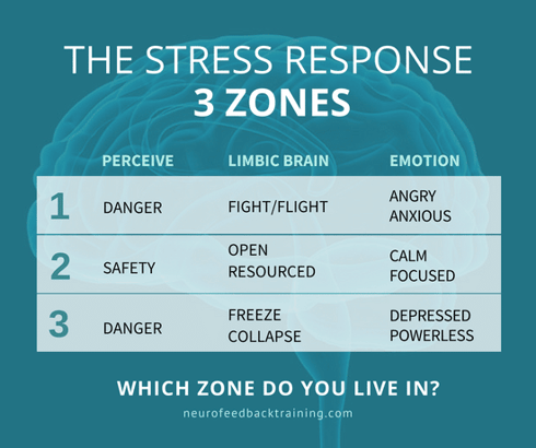 the stress response three zones