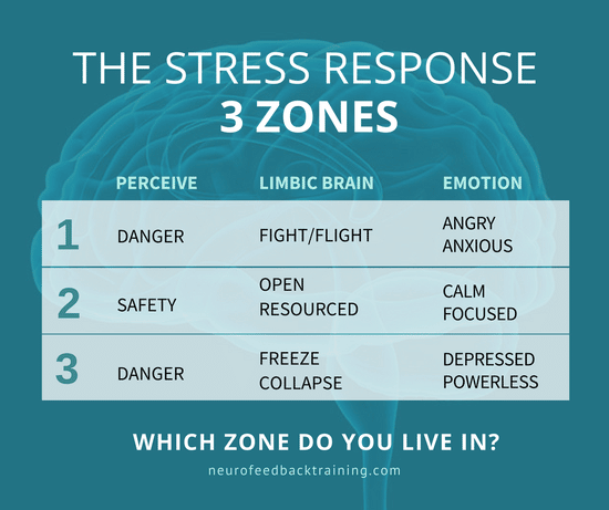 THE STRESS RESPONSE - 3 zones-fight-flight (1).png