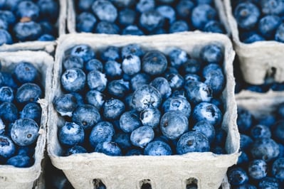 fruits-such-as-blueberries-is-a-good-brain-food