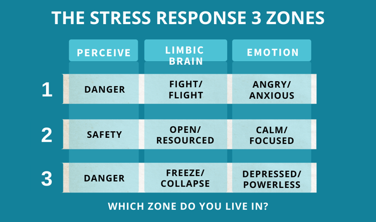 What Impacts Brain Health and Performance?