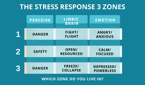 the-stress-response-3-zones-graphic